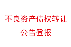 不良資產債權轉讓公告登報找我要登報網