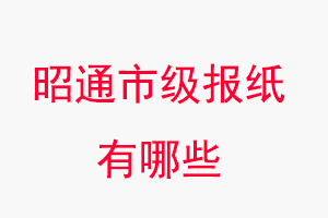 昭通報紙有哪些，昭通市級報紙有哪些找我要登報網