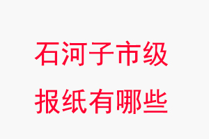 石河子報紙有哪些，石河子市級報紙有哪些找我要登報網(wǎng)